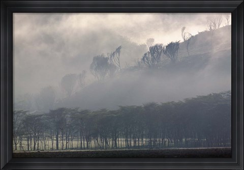 Framed Mist rising from escarpment, Lake Nakuru National Park, Kenya Print