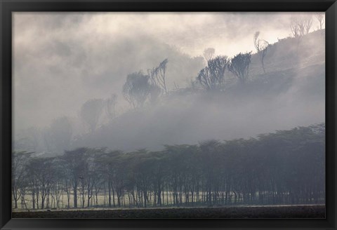 Framed Mist rising from escarpment, Lake Nakuru National Park, Kenya Print