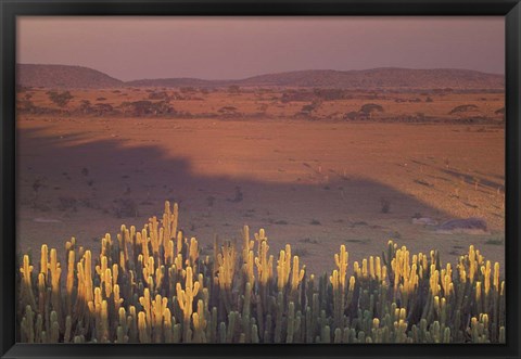 Framed Landscape View, Serengeti National Park, Tanzania Print