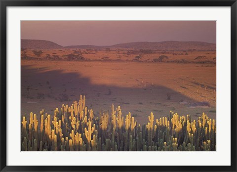 Framed Landscape View, Serengeti National Park, Tanzania Print