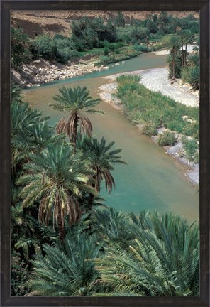 Framed Lush Palms Line the Banks of the Oued (River) Ziz, Morocco Print