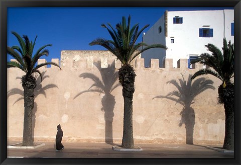 Framed Man and Palm Shadows on Walled Medina, Essaouira, Morocco Print