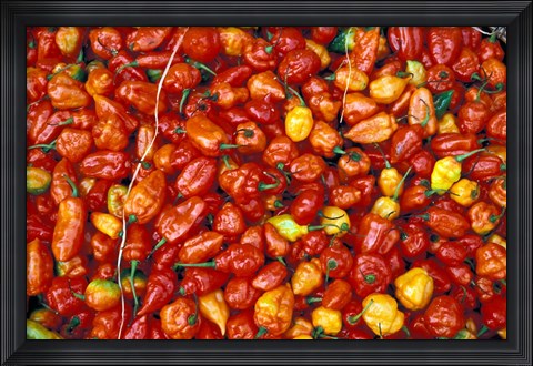 Framed Hot Red Pepper at the Local Market, Madagascar Print