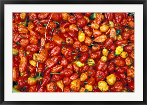 Framed Hot Red Pepper at the Local Market, Madagascar Print