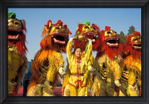 Framed Lion dance performance celebrating Chinese New Year Beijing China - MR Print