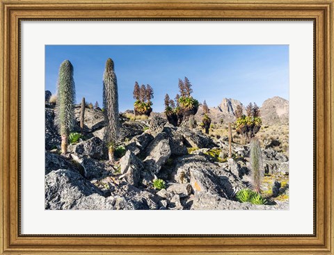 Framed Landscape, Mount Kenya National Park, Kenya Print