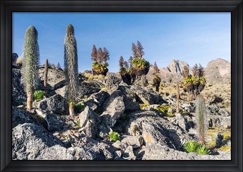 Framed Landscape, Mount Kenya National Park, Kenya Print