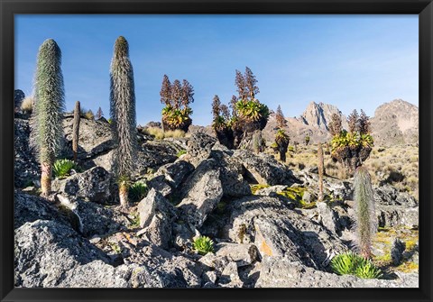 Framed Landscape, Mount Kenya National Park, Kenya Print