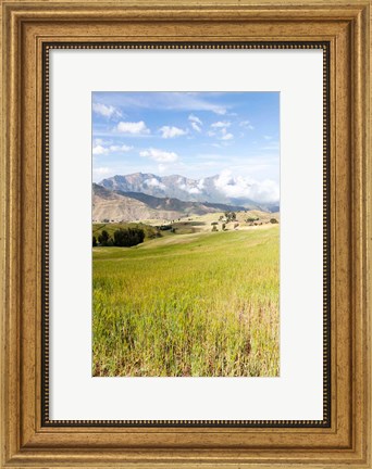 Framed Grassy plains, Semien Mountains National Park, Ethiopia Print