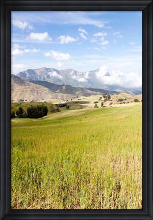 Framed Grassy plains, Semien Mountains National Park, Ethiopia Print