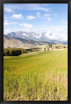 Framed Grassy plains, Semien Mountains National Park, Ethiopia Print