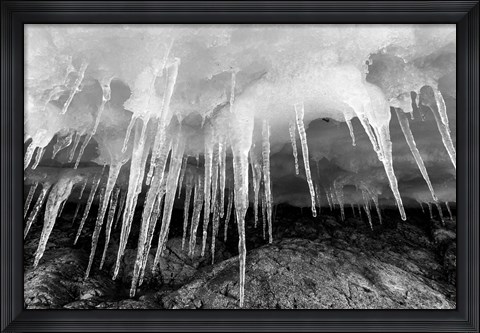 Framed Icicles hang from an ice roof, Cuverville Island, Antarctica. Print