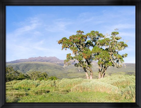 Framed Mount Kenya NP, Site in the highlands of central Kenya, Africa. UNESCO Print