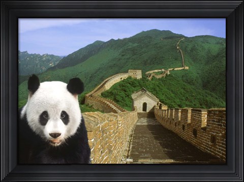 Framed Panda at the Great Wall of China Print