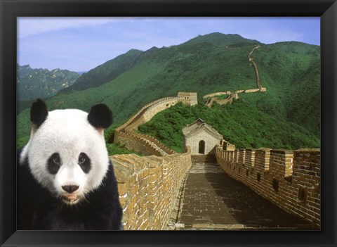 Framed Panda at the Great Wall of China Print