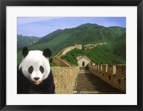 Framed Panda at the Great Wall of China Print