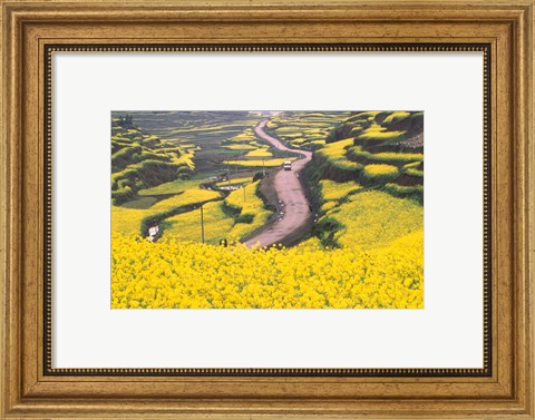 Framed Mountain Path Covered by Canola Fields, China Print