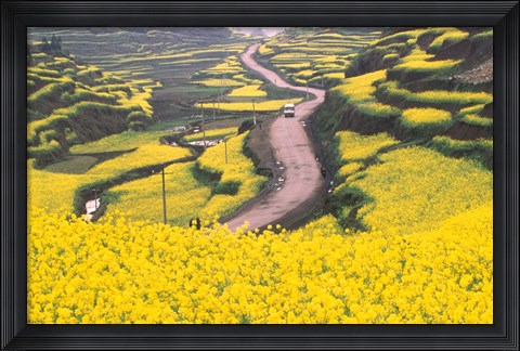 Framed Mountain Path Covered by Canola Fields, China Print
