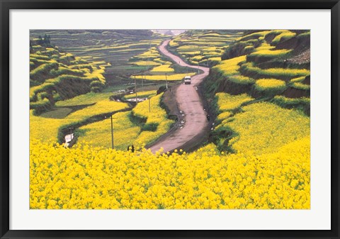 Framed Mountain Path Covered by Canola Fields, China Print