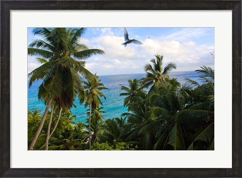 Framed Palm Trees of Anse Victorin Beach, Seychelles, Africa Print