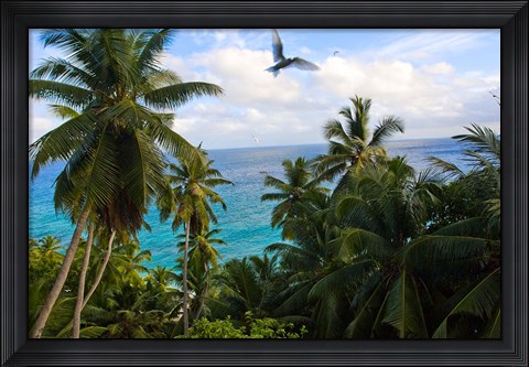 Framed Palm Trees of Anse Victorin Beach, Seychelles, Africa Print