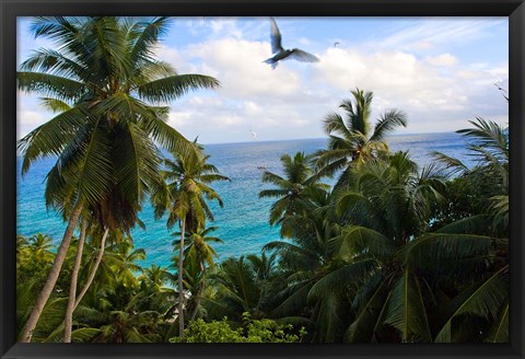 Framed Palm Trees of Anse Victorin Beach, Seychelles, Africa Print