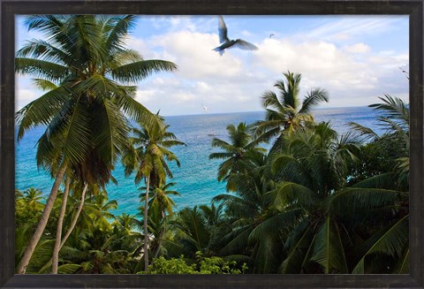 Framed Palm Trees of Anse Victorin Beach, Seychelles, Africa Print
