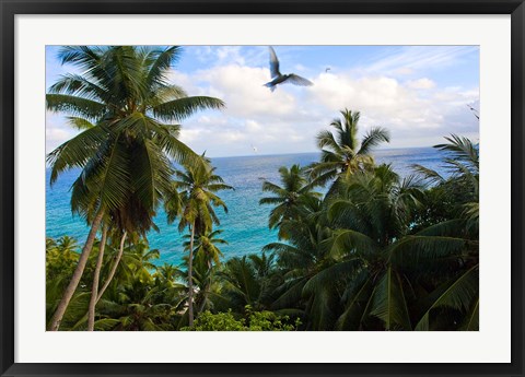 Framed Palm Trees of Anse Victorin Beach, Seychelles, Africa Print