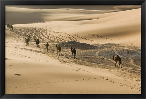 Framed MOROCCO, Tafilalt, Camel Caravan, Erg Chebbi Dunes Print