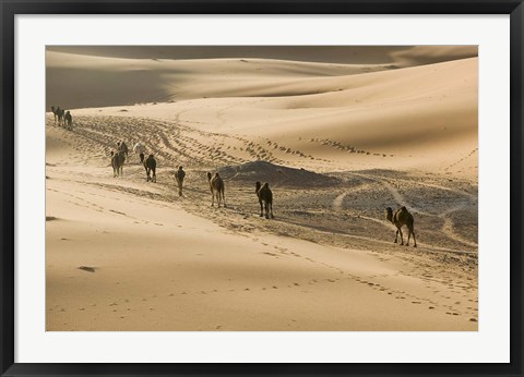 Framed MOROCCO, Tafilalt, Camel Caravan, Erg Chebbi Dunes Print