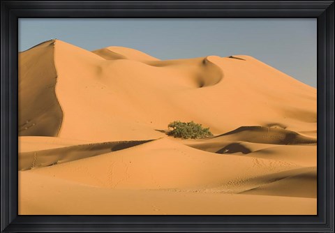 Framed MOROCCO, Tafilalt, MERZOUGA: Erg Chebbi Desert Print