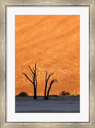 Framed Namibia, Namib-Naukluft, Sossusvlei Desert, Dead Vlei Print