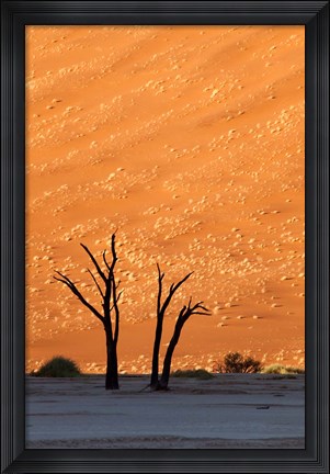 Framed Namibia, Namib-Naukluft, Sossusvlei Desert, Dead Vlei Print