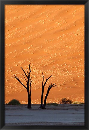 Framed Namibia, Namib-Naukluft, Sossusvlei Desert, Dead Vlei Print