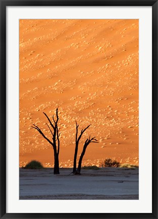 Framed Namibia, Namib-Naukluft, Sossusvlei Desert, Dead Vlei Print