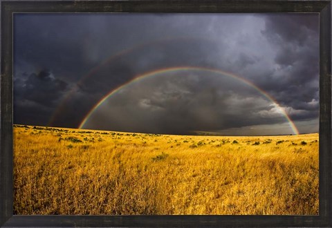 Framed Rainbow in mist, Maasai Mara Kenya Print