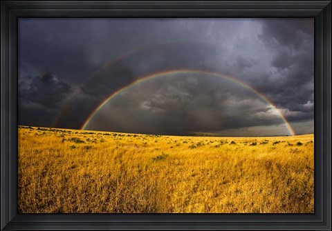 Framed Rainbow in mist, Maasai Mara Kenya Print