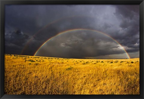 Framed Rainbow in mist, Maasai Mara Kenya Print