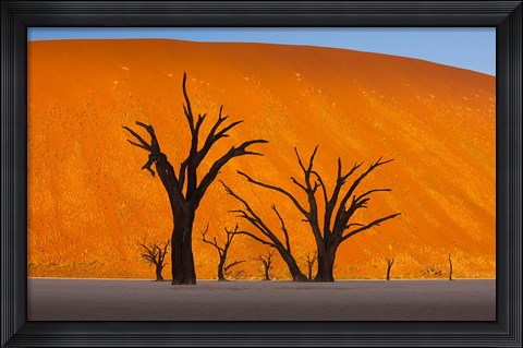 Framed Namib-Naukluft National Park, Namibia Print