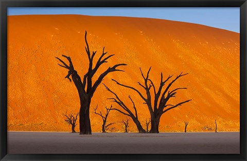 Framed Namib-Naukluft National Park, Namibia Print