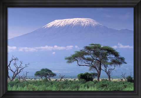 Framed Mount Kilimanjaro, Amboseli National Park, Kenya Print
