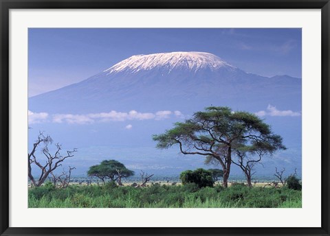 Framed Mount Kilimanjaro, Amboseli National Park, Kenya Print