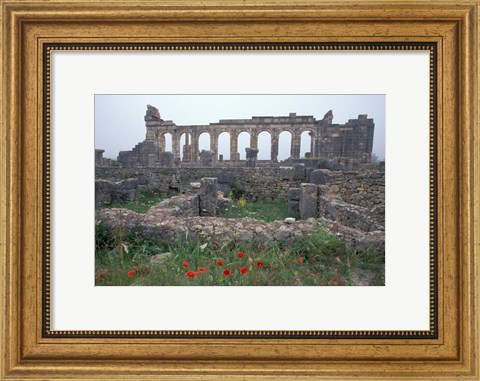 Framed Red Poppies near Basilica in Ancient Roman City, Morocco Print