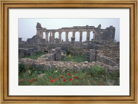 Framed Red Poppies near Basilica in Ancient Roman City, Morocco Print