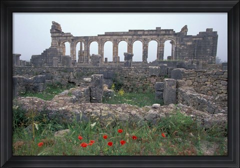 Framed Red Poppies near Basilica in Ancient Roman City, Morocco Print