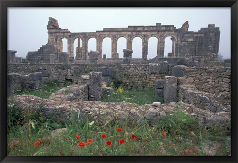 Framed Red Poppies near Basilica in Ancient Roman City, Morocco Print