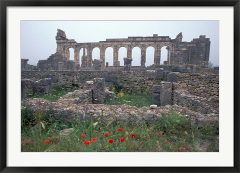 Framed Red Poppies near Basilica in Ancient Roman City, Morocco Print