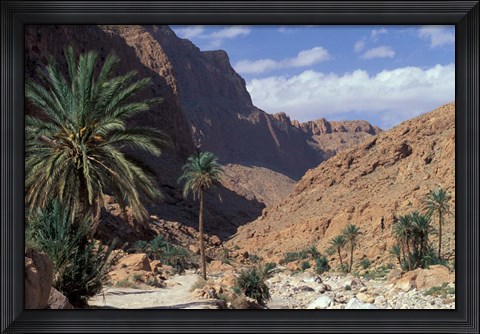 Framed Palm Trees and Creekbed Below Limestone Cliffs, Morocco Print