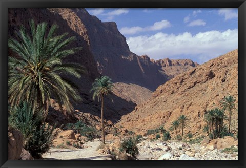 Framed Palm Trees and Creekbed Below Limestone Cliffs, Morocco Print