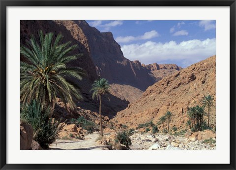 Framed Palm Trees and Creekbed Below Limestone Cliffs, Morocco Print